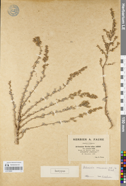 LE 01150065