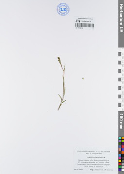 LE 01120145