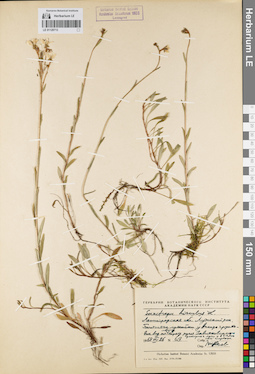 LE 01120713