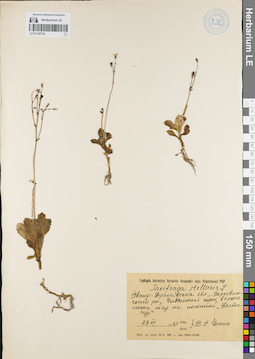 LE 01120734