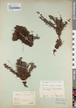 LE 01120742
