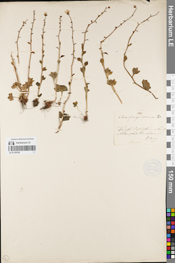 LE 01120769