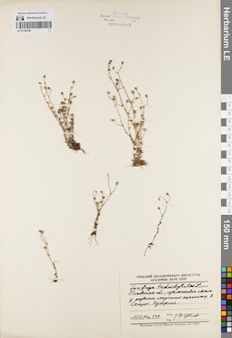 LE 01120796