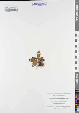 LE 01120803