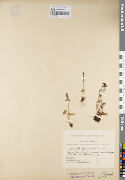 LE 01120816