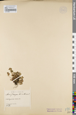 LE 01120829