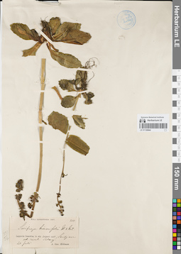 LE 01120844