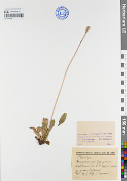 LE 01139140