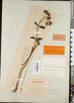 LE 01036024