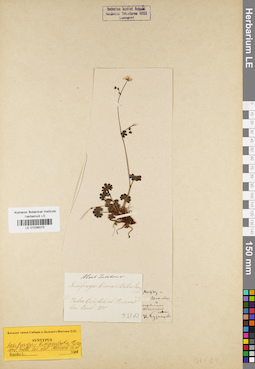 LE 01036070