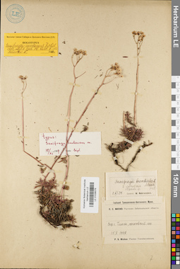 LE 01036076