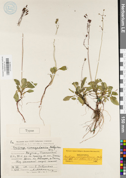 LE 01036079
