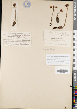 LE 01036088