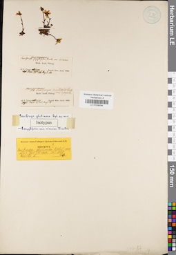 LE 01036094