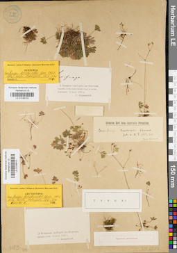 LE 01036101