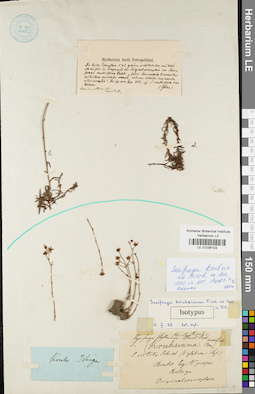 LE 01036103