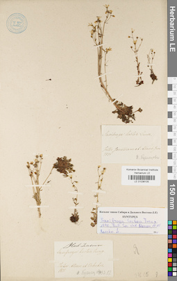 LE 01036105