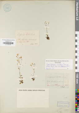 LE 01036106