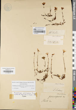 LE 01081977