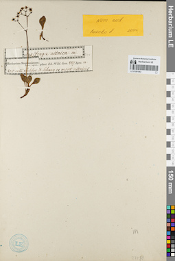 LE 01081963
