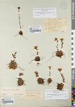 LE 01081970
