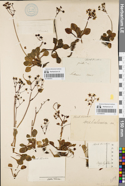 LE 01081972