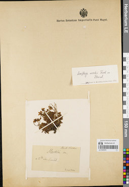 LE 01081975