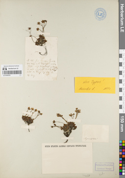 LE 01081976