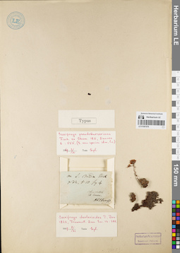 LE 01081978