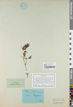 LE 01157026