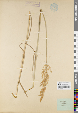 LE 01157054