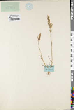 LE 01157074