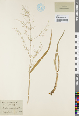 LE 01157089