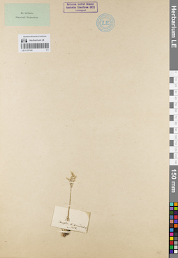 LE 01157102