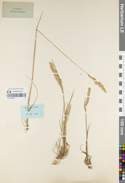LE 01159176