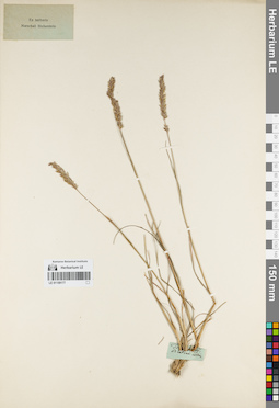 LE 01159177