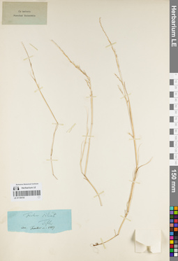 LE 01159193