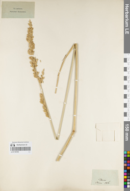 LE 01159199