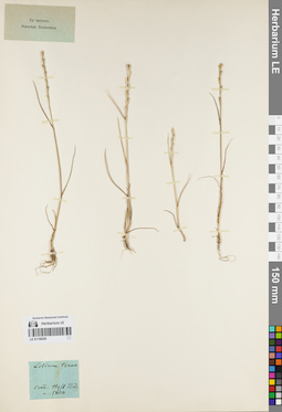 LE 01159265