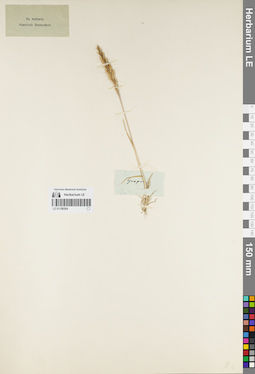 LE 01159304