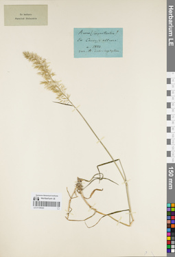 LE 01159323