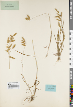 LE 01159368