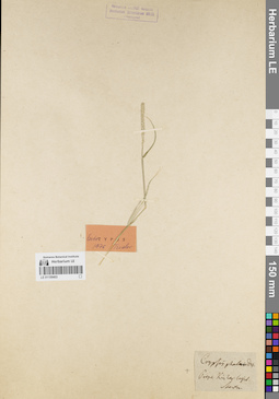 LE 01159403