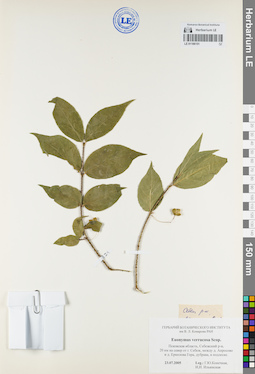 LE 01106151
