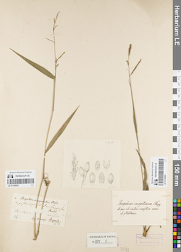 LE 01154060