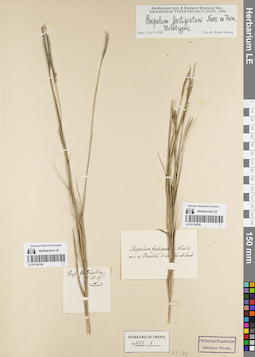 LE 01154159