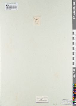 LE 01154186