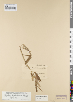 LE 01154187