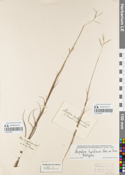 LE 01154189