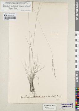 LE 01154193